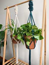 Load image into Gallery viewer, Macrame Plant Hanger | Indoor Plant Hanger | Single &amp; Double
